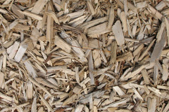 biomass boilers Cemmaes